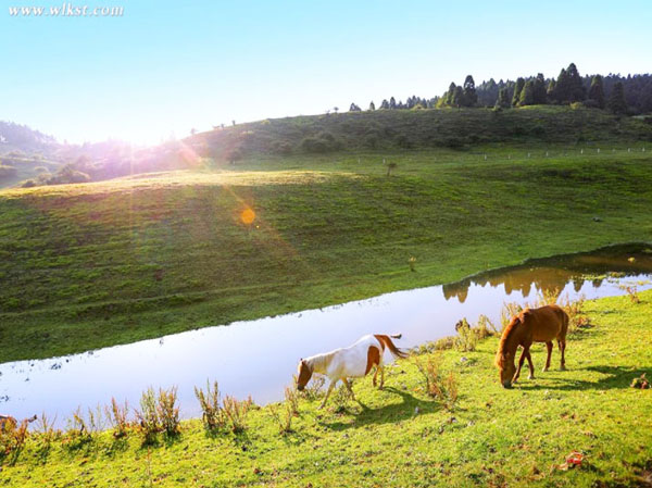 秘境武隆仙女山、天生三橋、龍水峽地縫、烏江畫廊2日游（2-8 人精品小團）